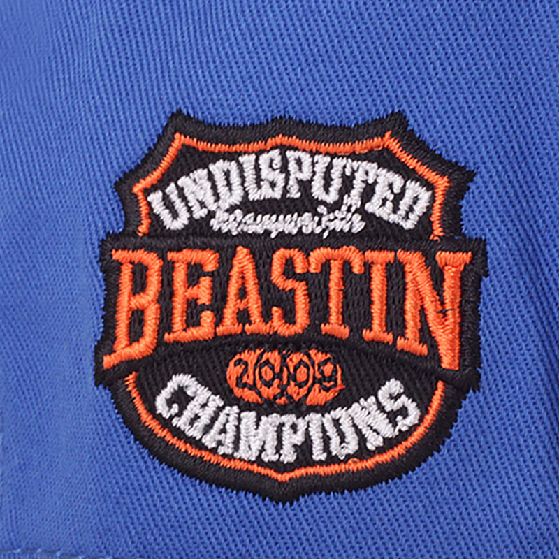 Beastin Кепка Official Beasts Snap Back (BSTNSS13-45-02)  - цена, описание, фото 2