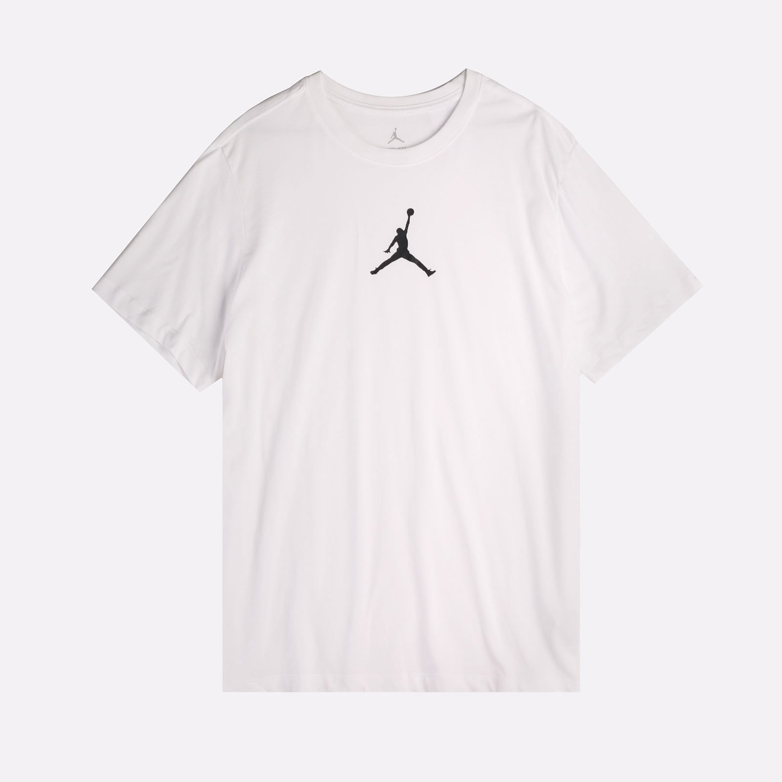 Мужская футболка Jordan Dri-FIT Crew (CW5190-102^)  - цена, описание, фото 1