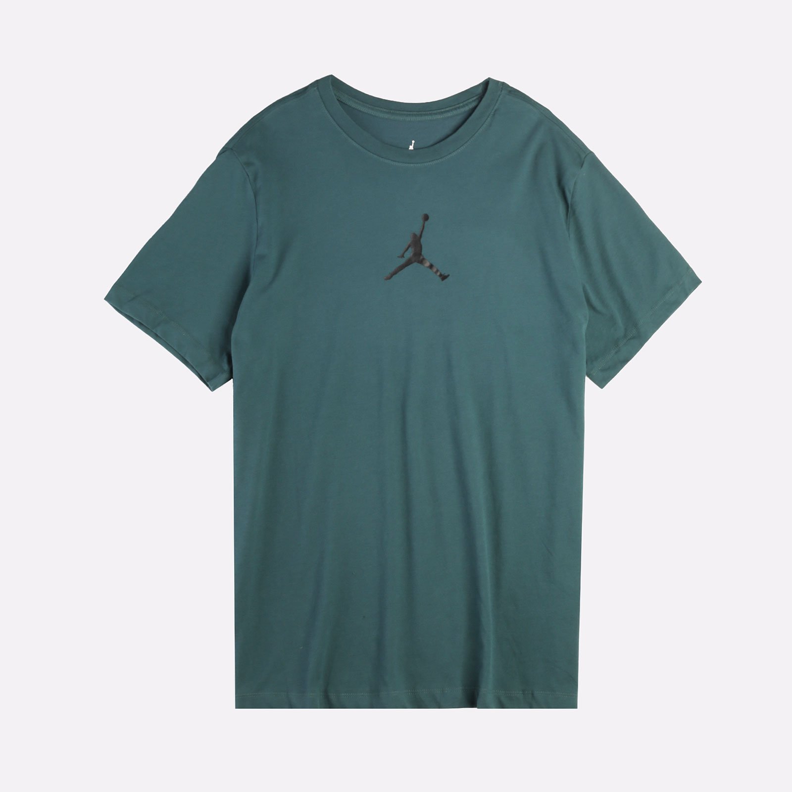 Мужская футболка Jordan Dri-Fit Crew (CW5190-366)  - цена, описание, фото 1