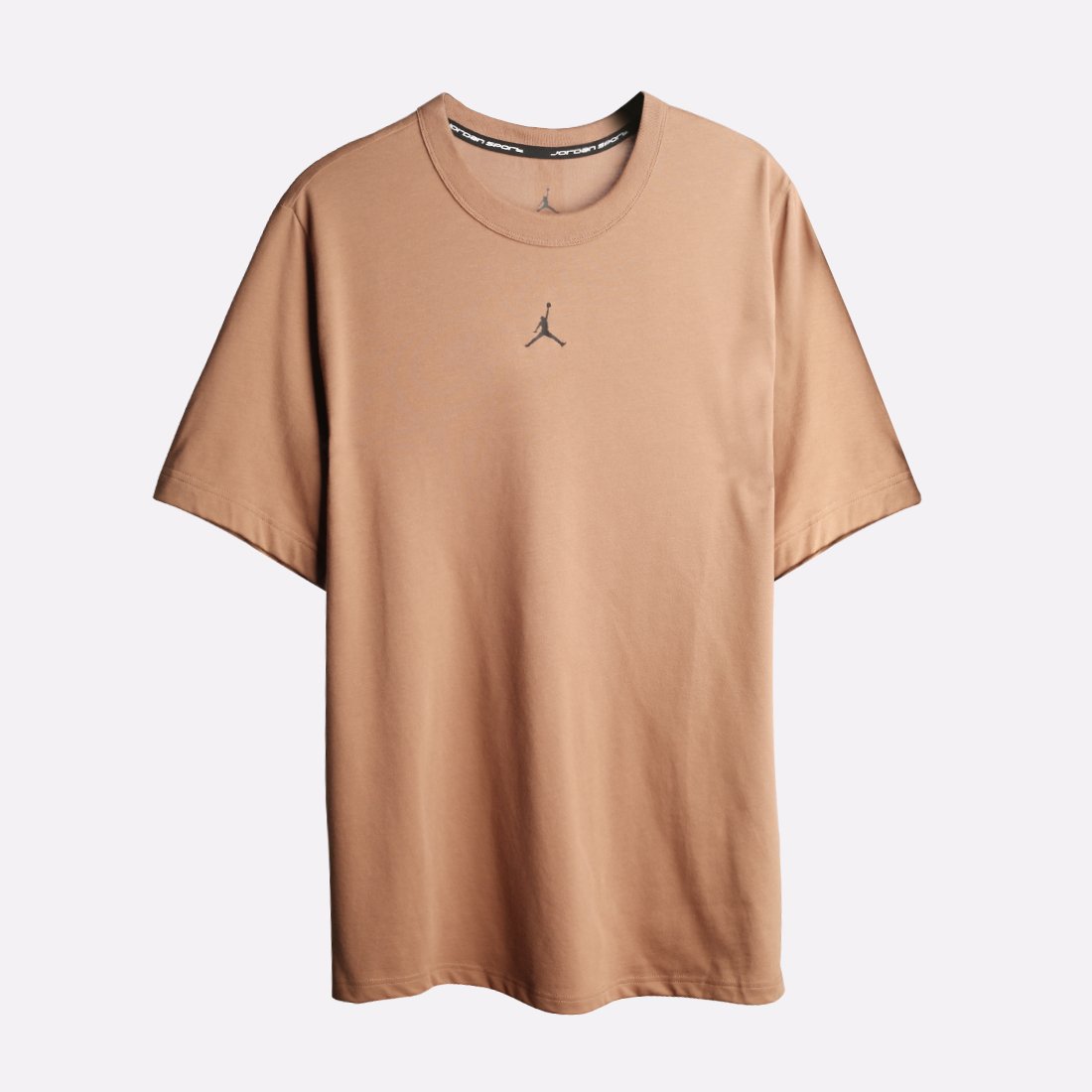 Мужская футболка Jordan Sport T-Shirt (FN5829-223)  - цена, описание, фото 1