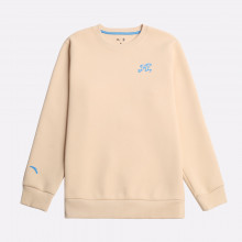 Мужская толстовка ANTA Sweatshirt (872511715-1)