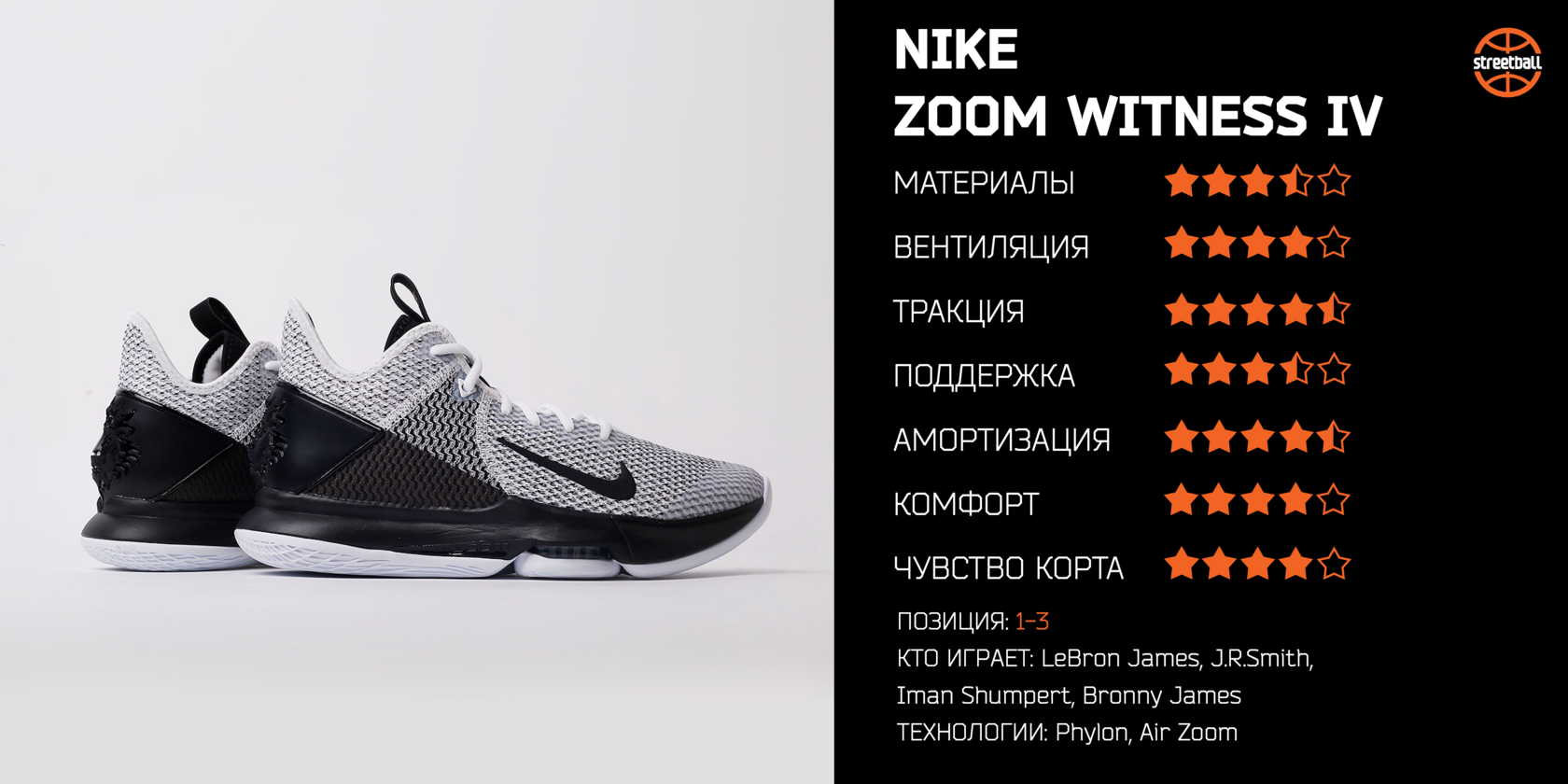 zoom witness iv